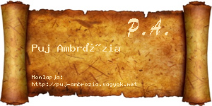 Puj Ambrózia névjegykártya